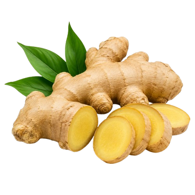 JENGIBRE